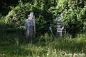 VBS_4852 - Il bosco fatato - Montaldo Roero